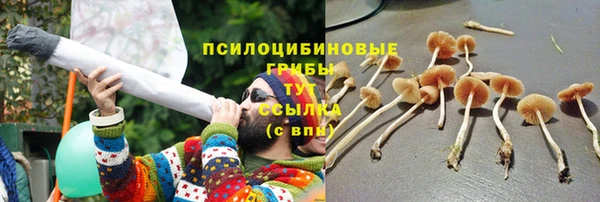 СК Арсеньев
