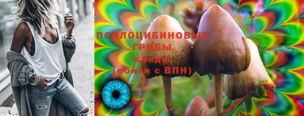 СК Арсеньев
