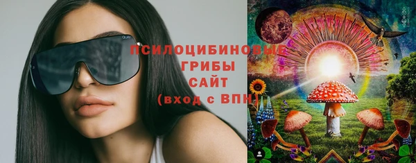 мдпв Армянск